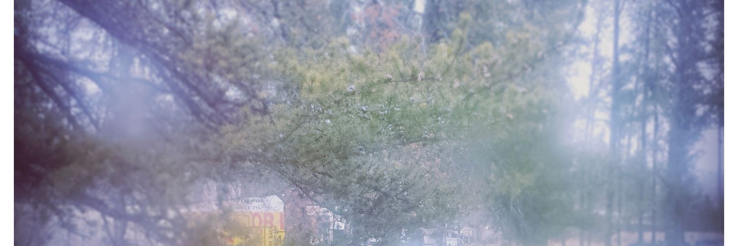 Aliyah2503's profile banner image