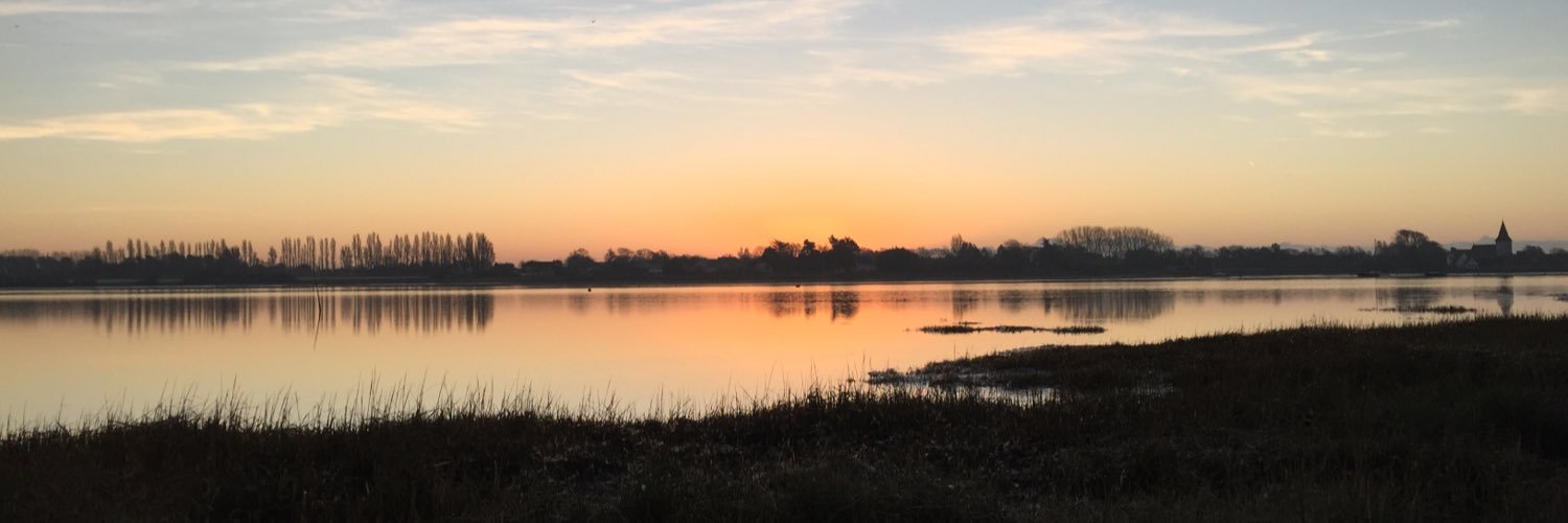 Dan Reynolds BASC banner