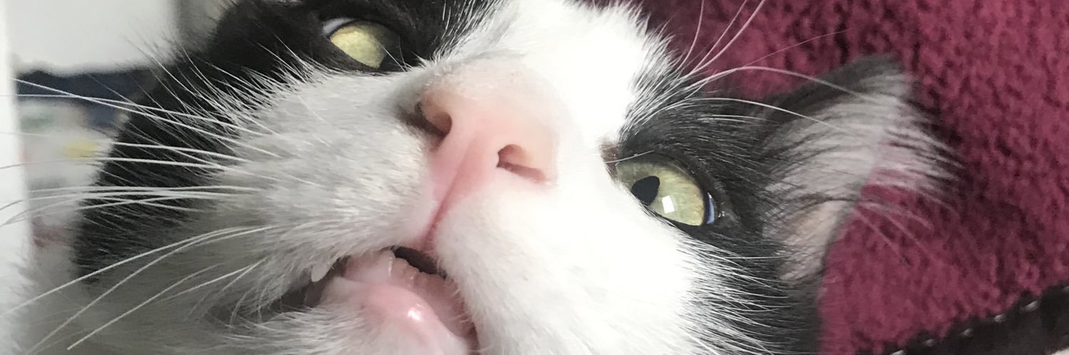 mfolaya's profile banner image