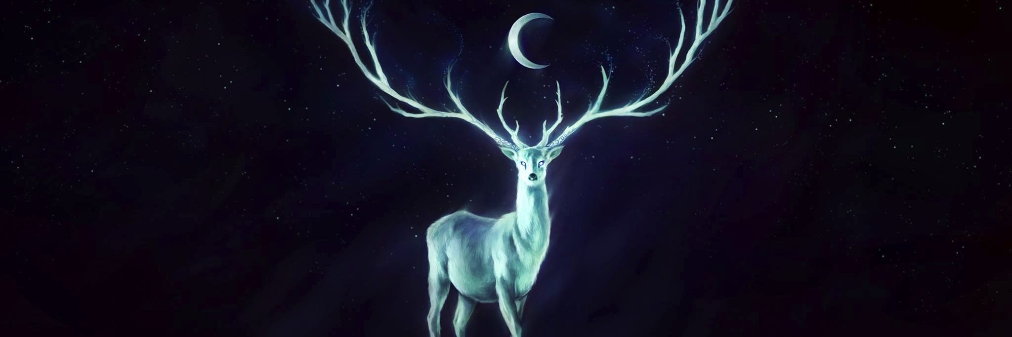 Snow_Clottia's profile banner image