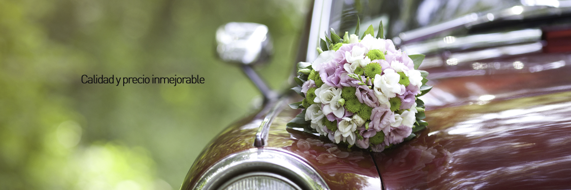 PICTUGRAPH's profile banner image