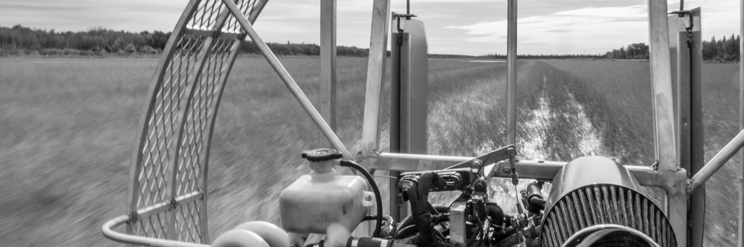 docwatt's profile banner image