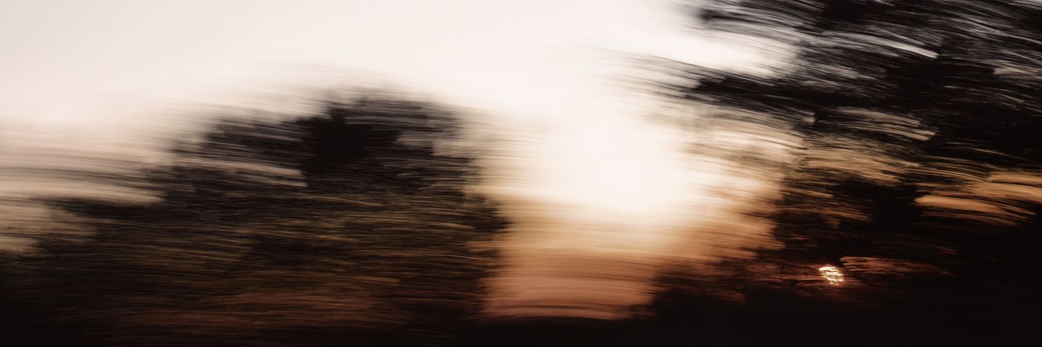 mockkingbbird's profile banner image