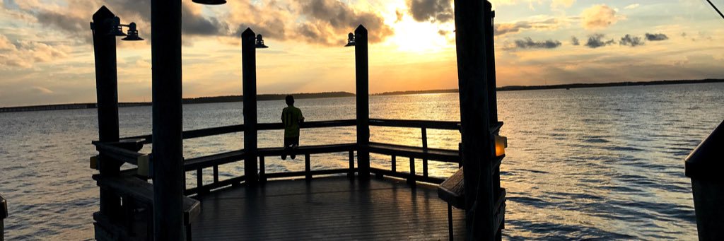 findingNINA_'s profile banner image