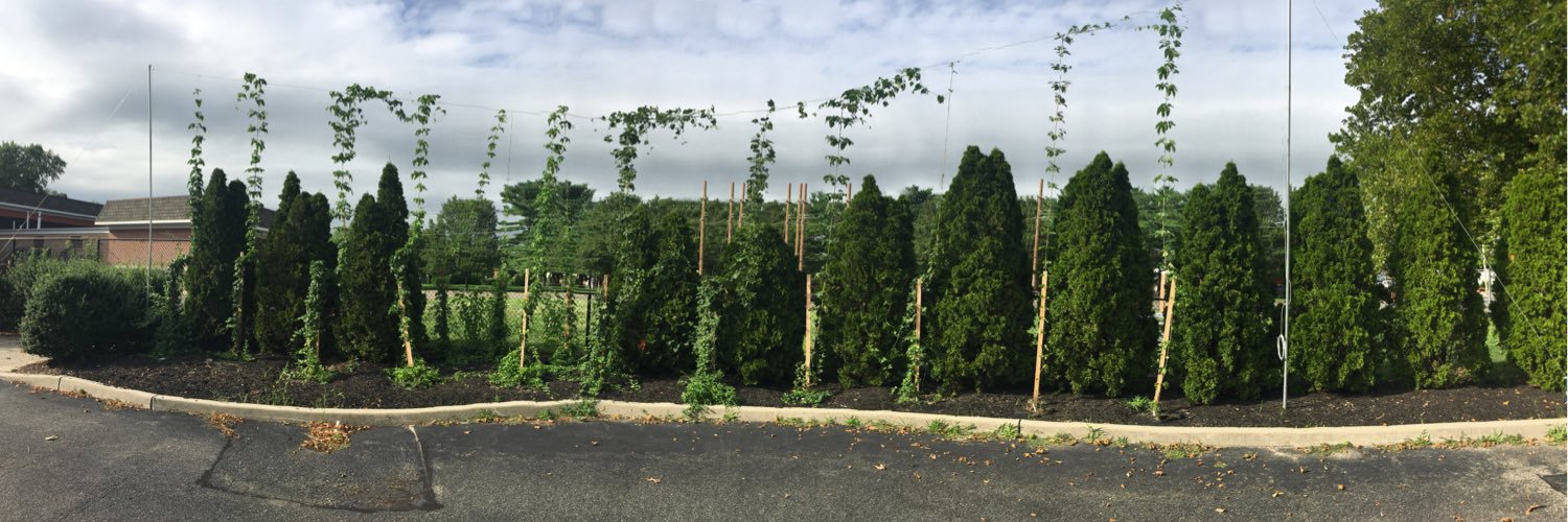 HuntingtonBeer's profile banner image