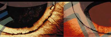 The Fields AECG banner