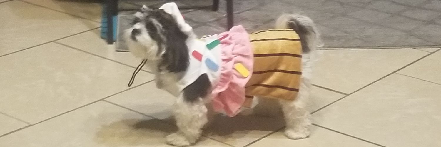 Cesar V Ramos banner