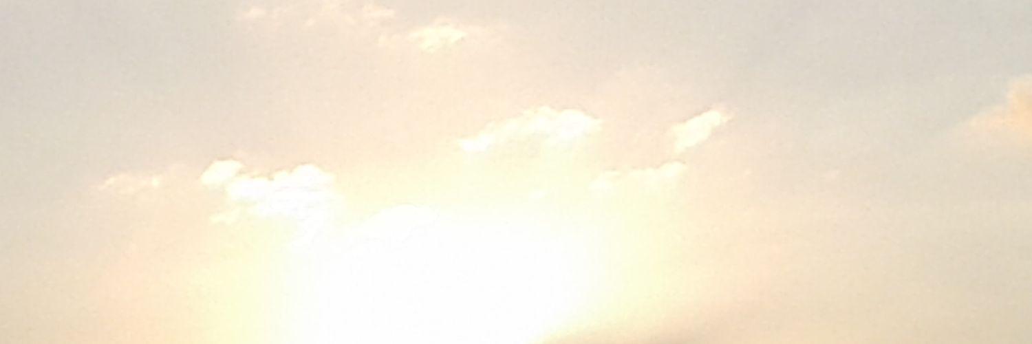 chic_sonia's profile banner image