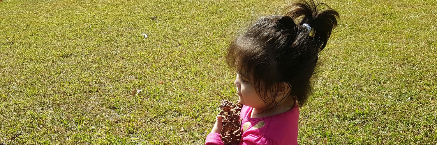 annaluruano's profile banner image