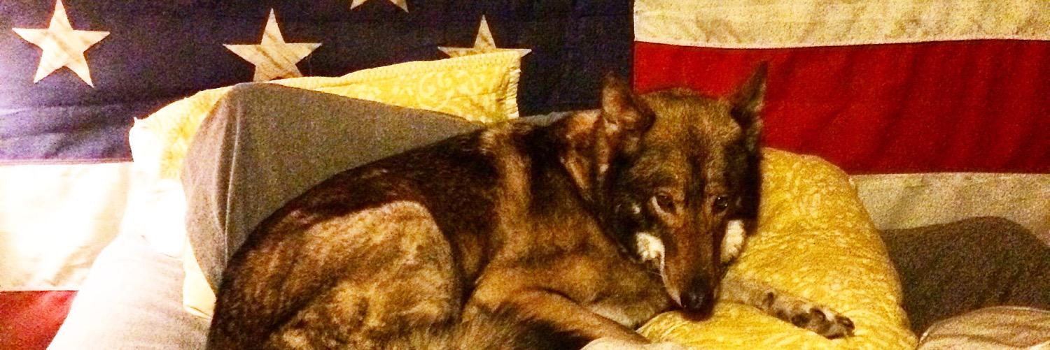 Nights and Weekends banner