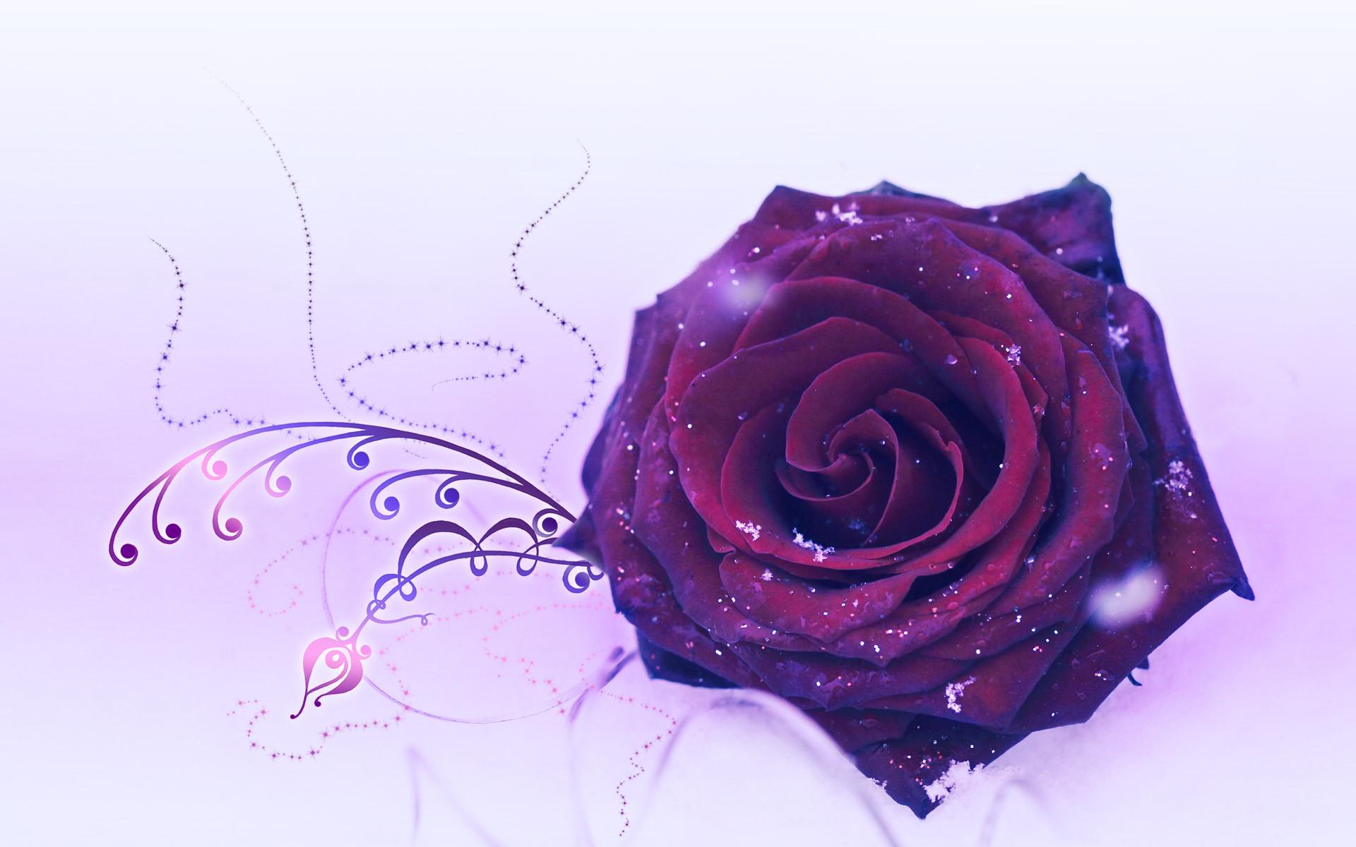 Sadieohpl's profile banner image