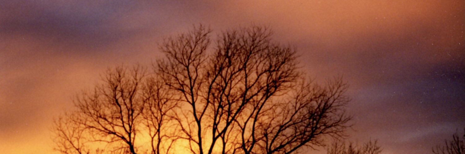 Risa J⁷ banner