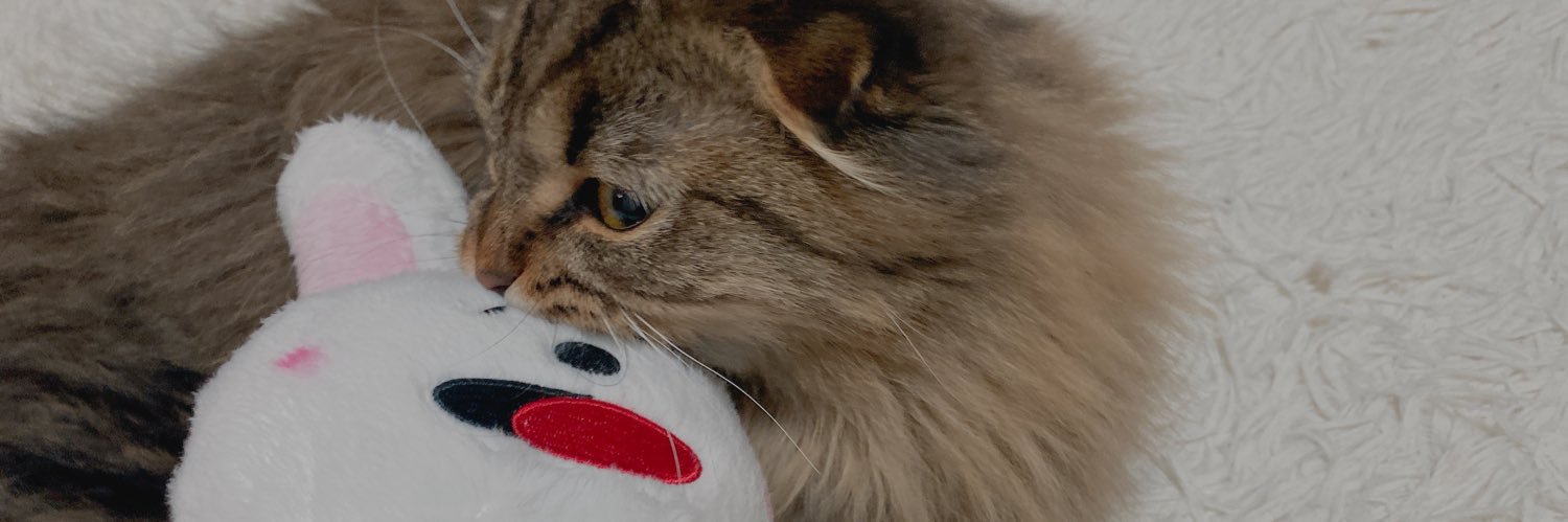 _i7ri_'s profile banner image
