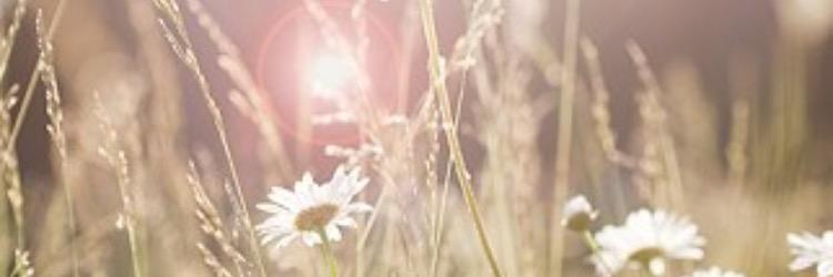 saragiorgiutti's profile banner image