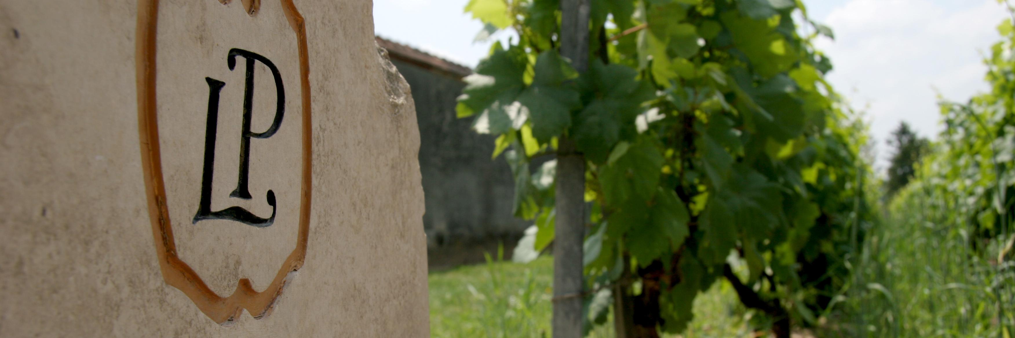 ChampagneLPDE's profile banner image