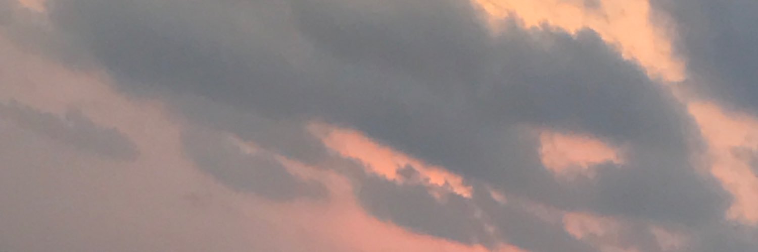 rishitarana24's profile banner image