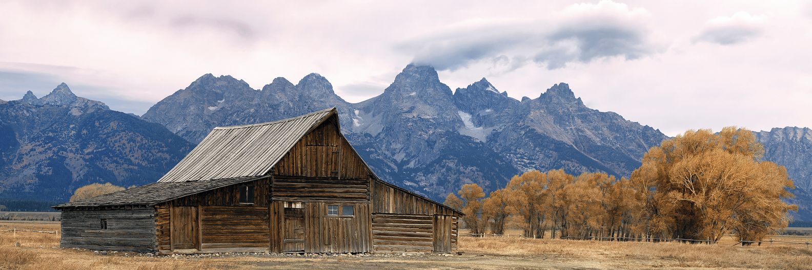 ✡️ Moshe Winberg banner