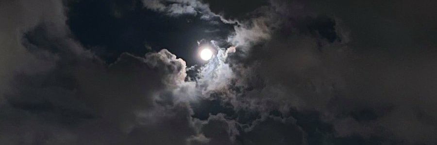 cut_inside_'s profile banner image