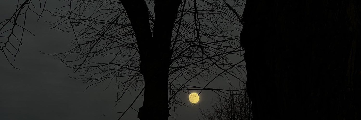 curiosulum's profile banner image