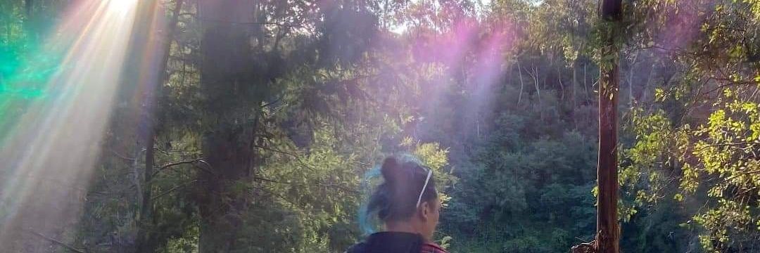 dingodogg's profile banner image