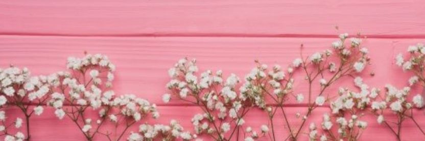 daniela_ta29's profile banner image