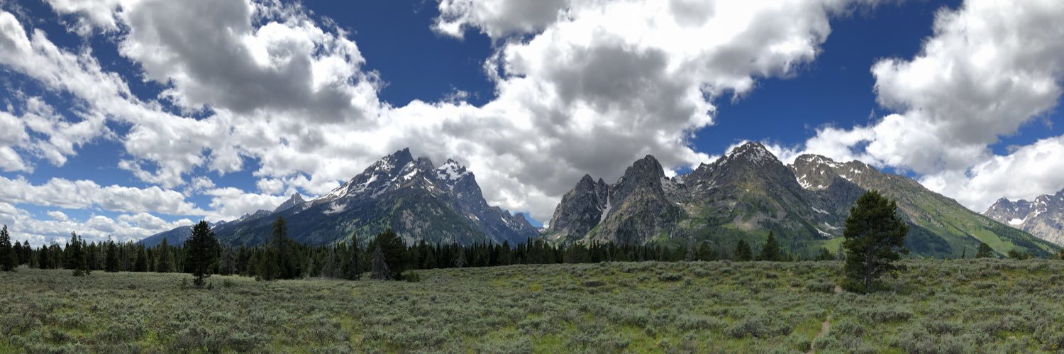 Katie Hamilton banner