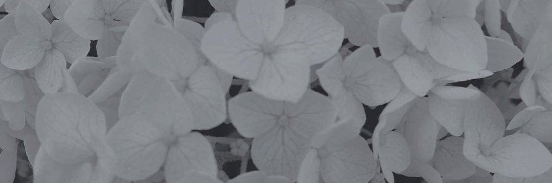 daru__mii's profile banner image