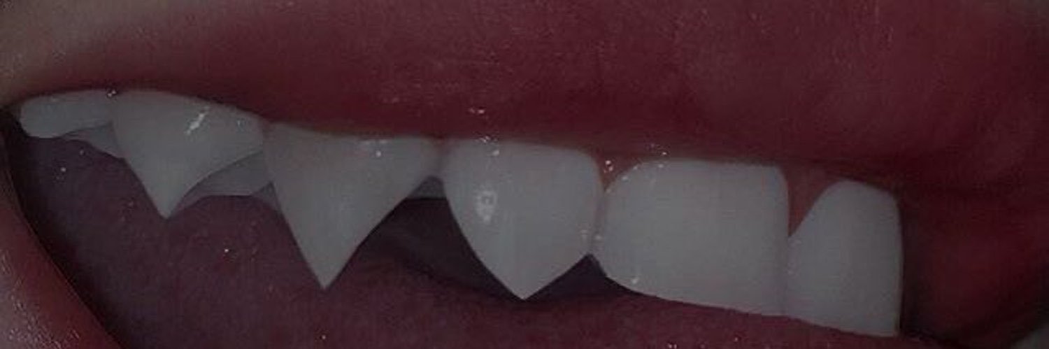 𝔱𝔥𝔢 𝔳𝔞𝔪𝔭𝔦𝔯𝔢’𝔰 𝔡𝔦𝔞𝔯𝔶 🫀 banner