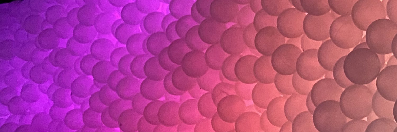 C𓂂zy Bi☥ch banner