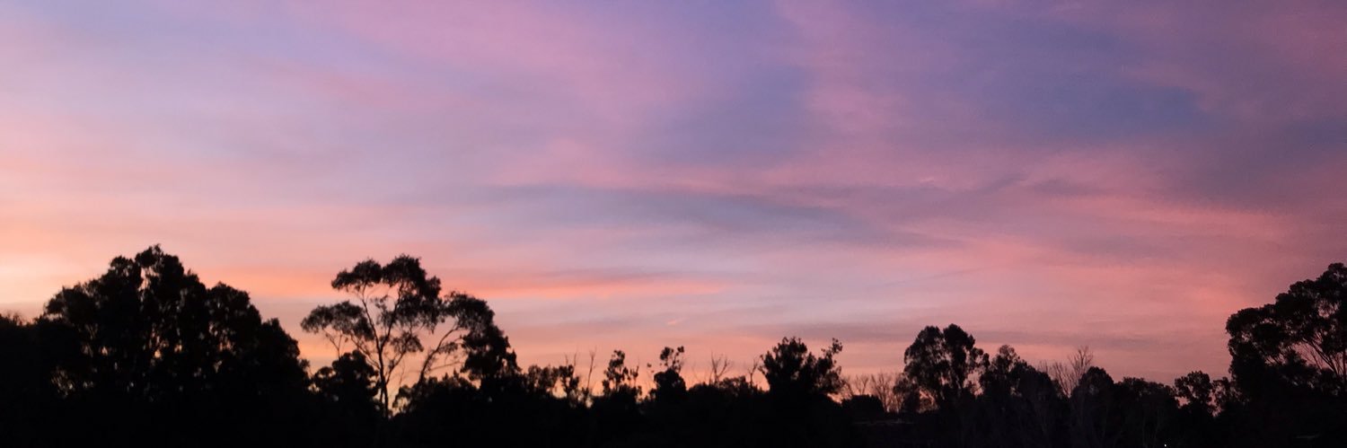 itsmelstenner's profile banner image