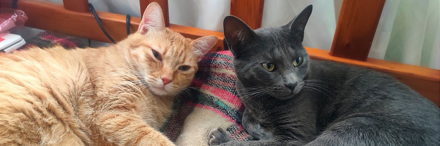 Laura no está banner