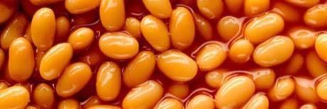 knobsofbristol's profile banner image