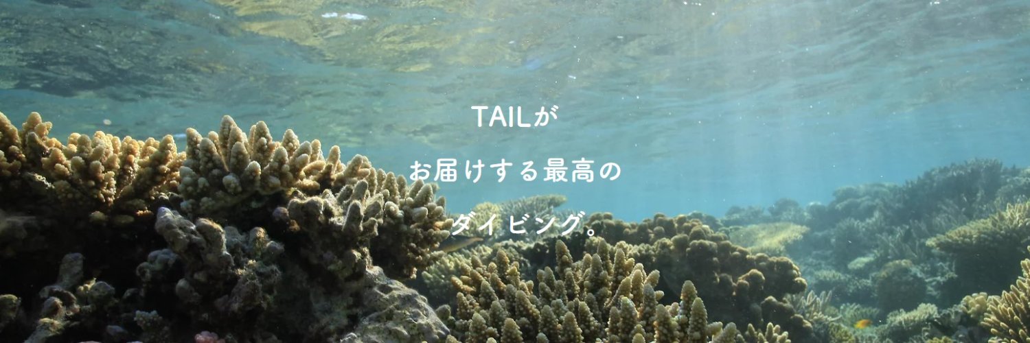 DIVESHOPTAIL's profile banner image