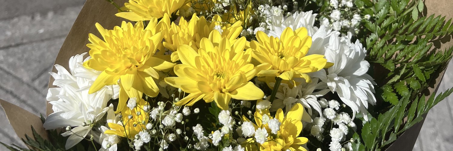 _N355A's profile banner image