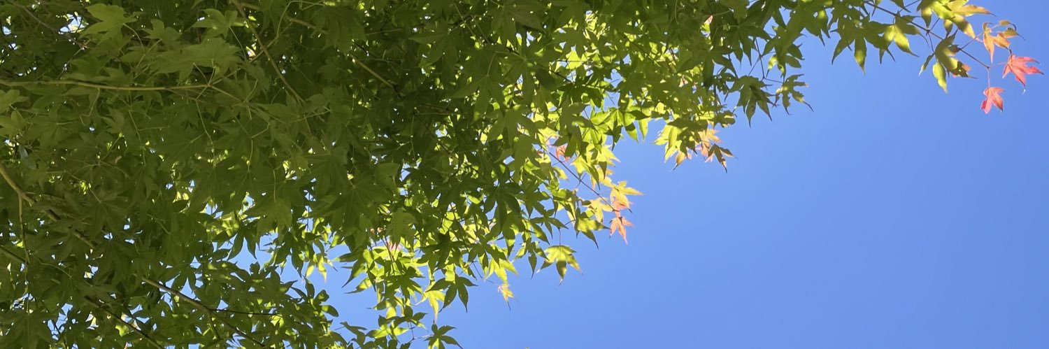 ﾕ ｽﾞ banner