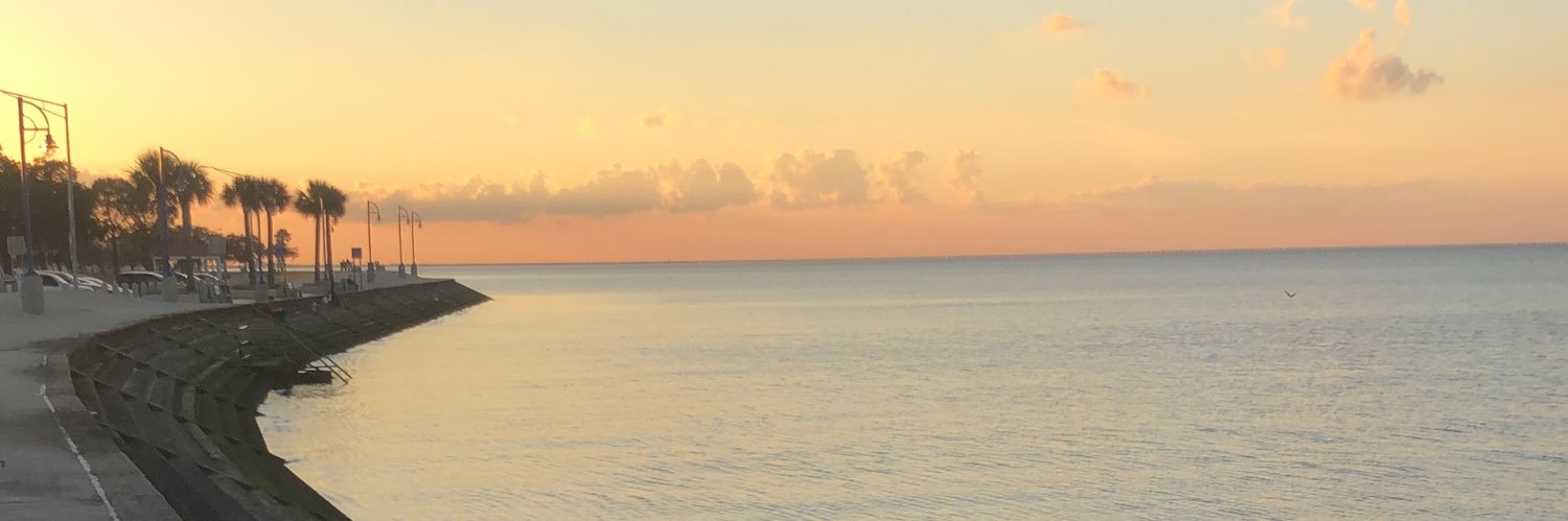 laurenn_6's profile banner image