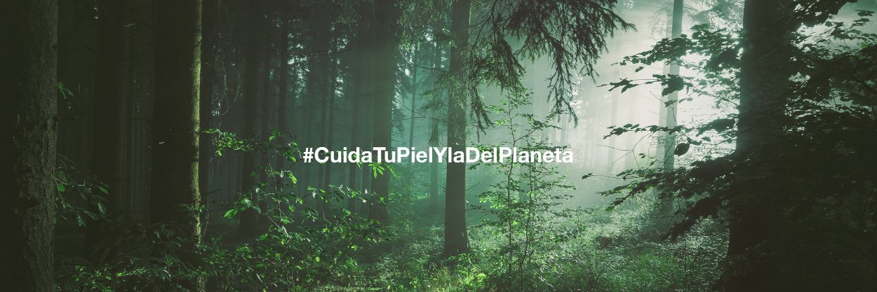 ASHES TO LIFE banner