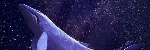 min banner