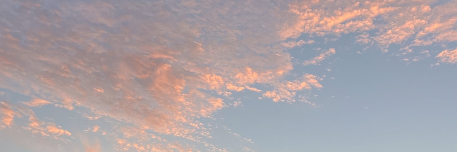 FGtheDP's profile banner image