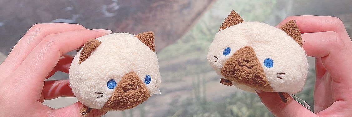 藍たろ🙈🍚 banner