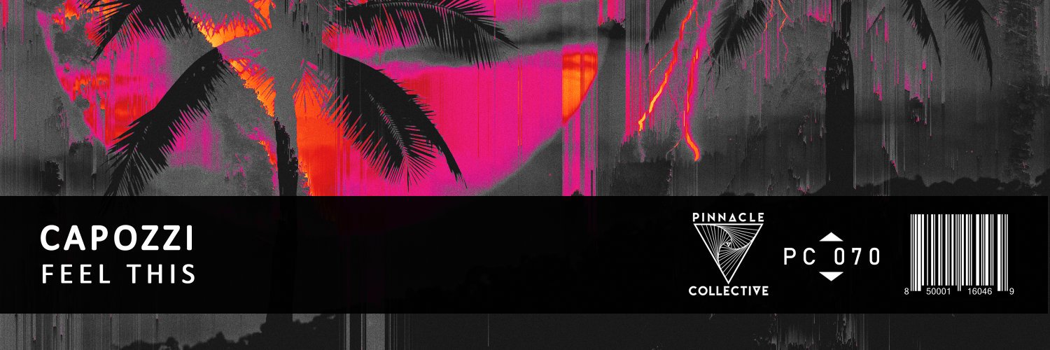 Pinnacle Collective banner