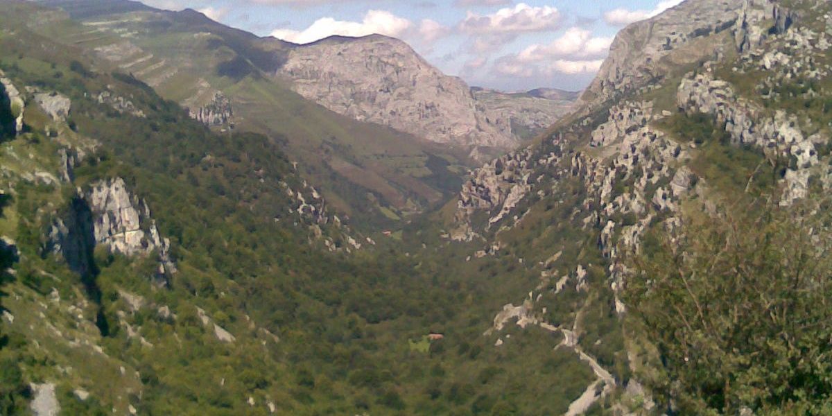 Vilana banner