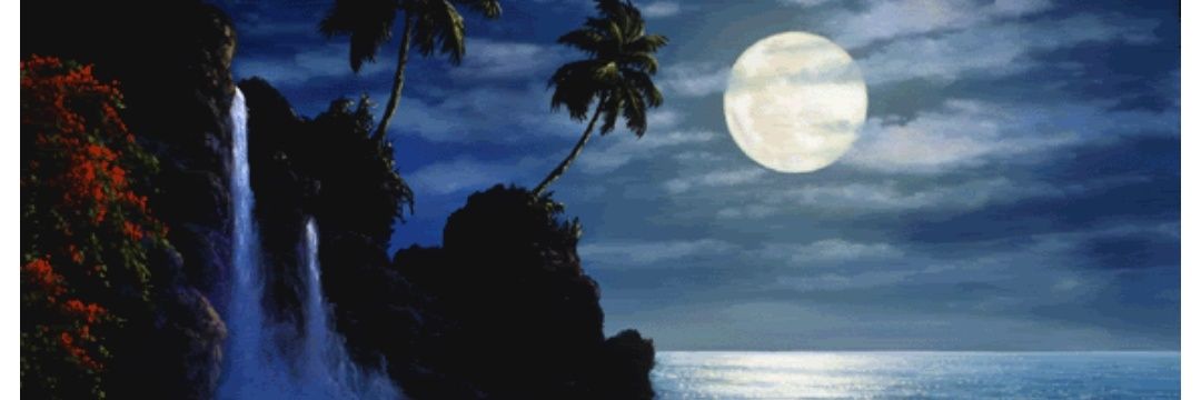 zhm8412's profile banner image