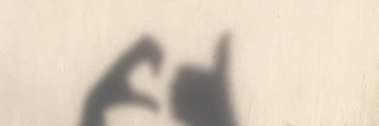 ᐧ༚̮ᐧ moho ᐧ༚̮ᐧ banner