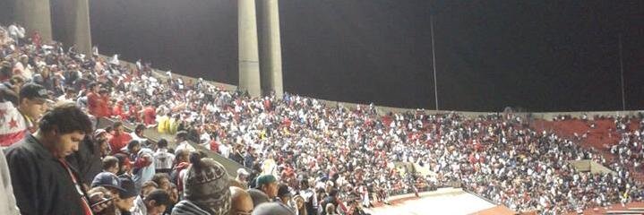 Ricardo Ribeiro banner