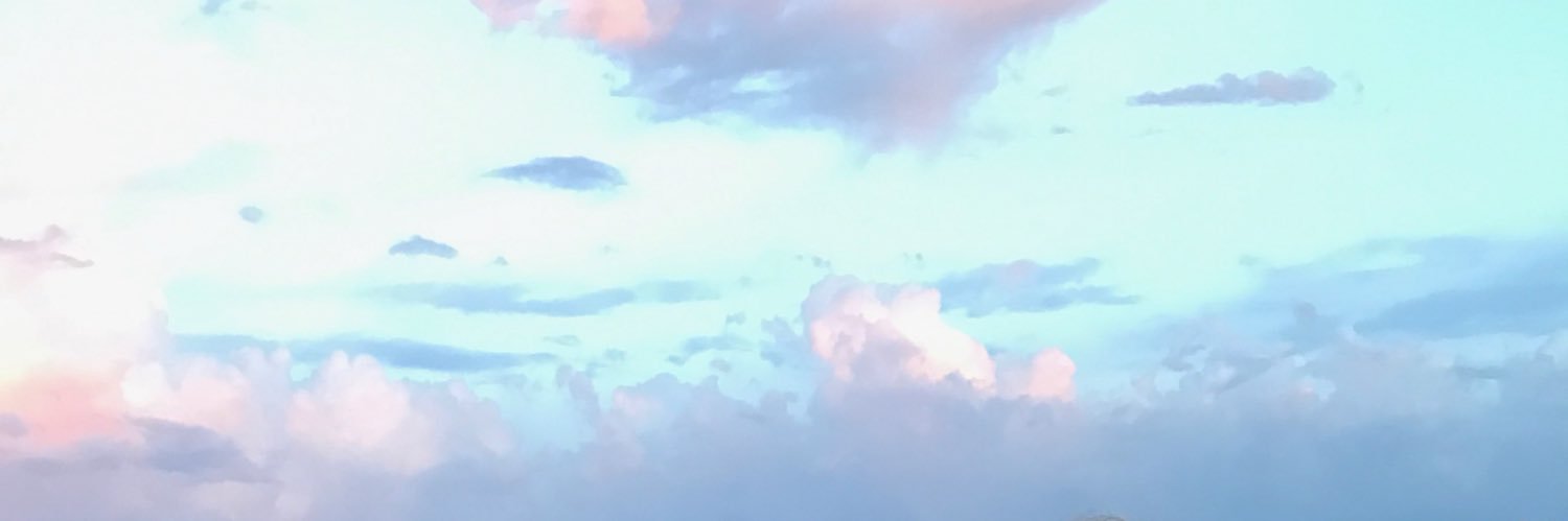 emilymedich's profile banner image