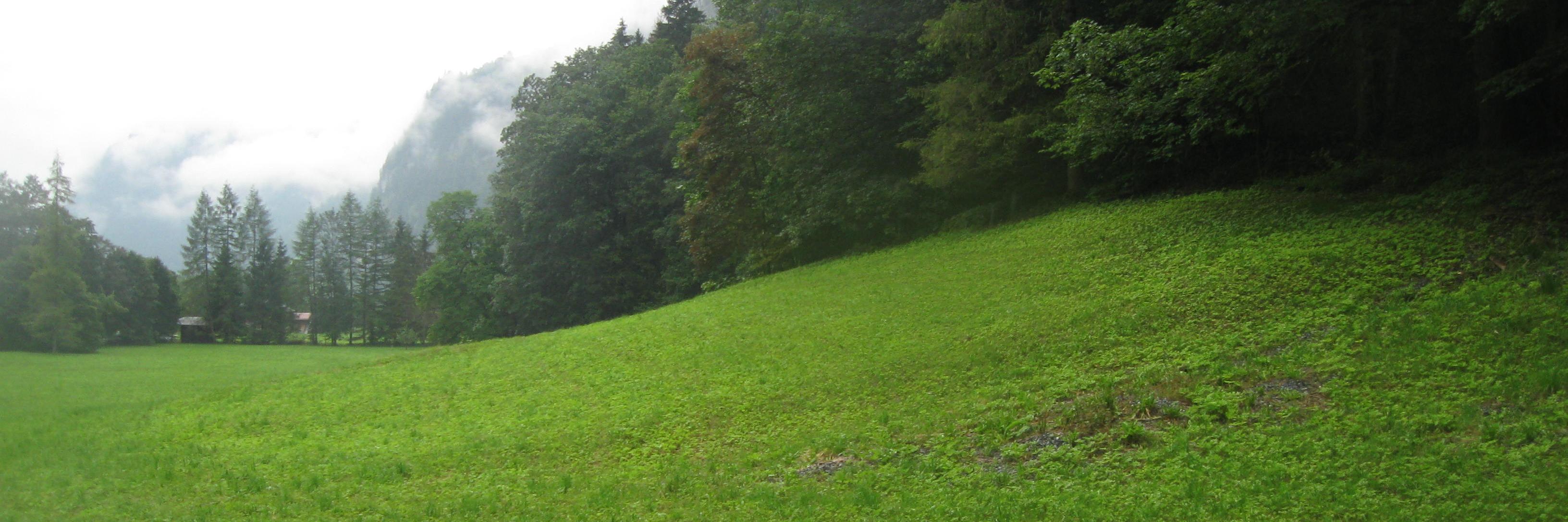 OmriMRM's profile banner image