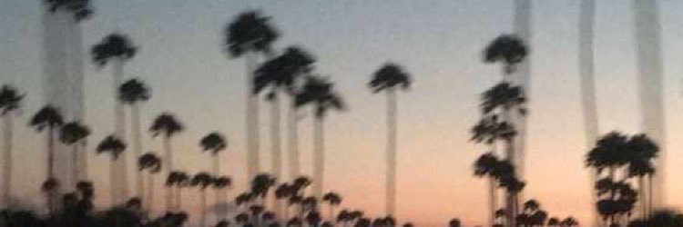 BaadDood's profile banner image
