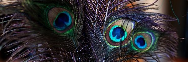 SpaNanaimo's profile banner image