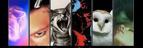 GorgeousMsC's profile banner image